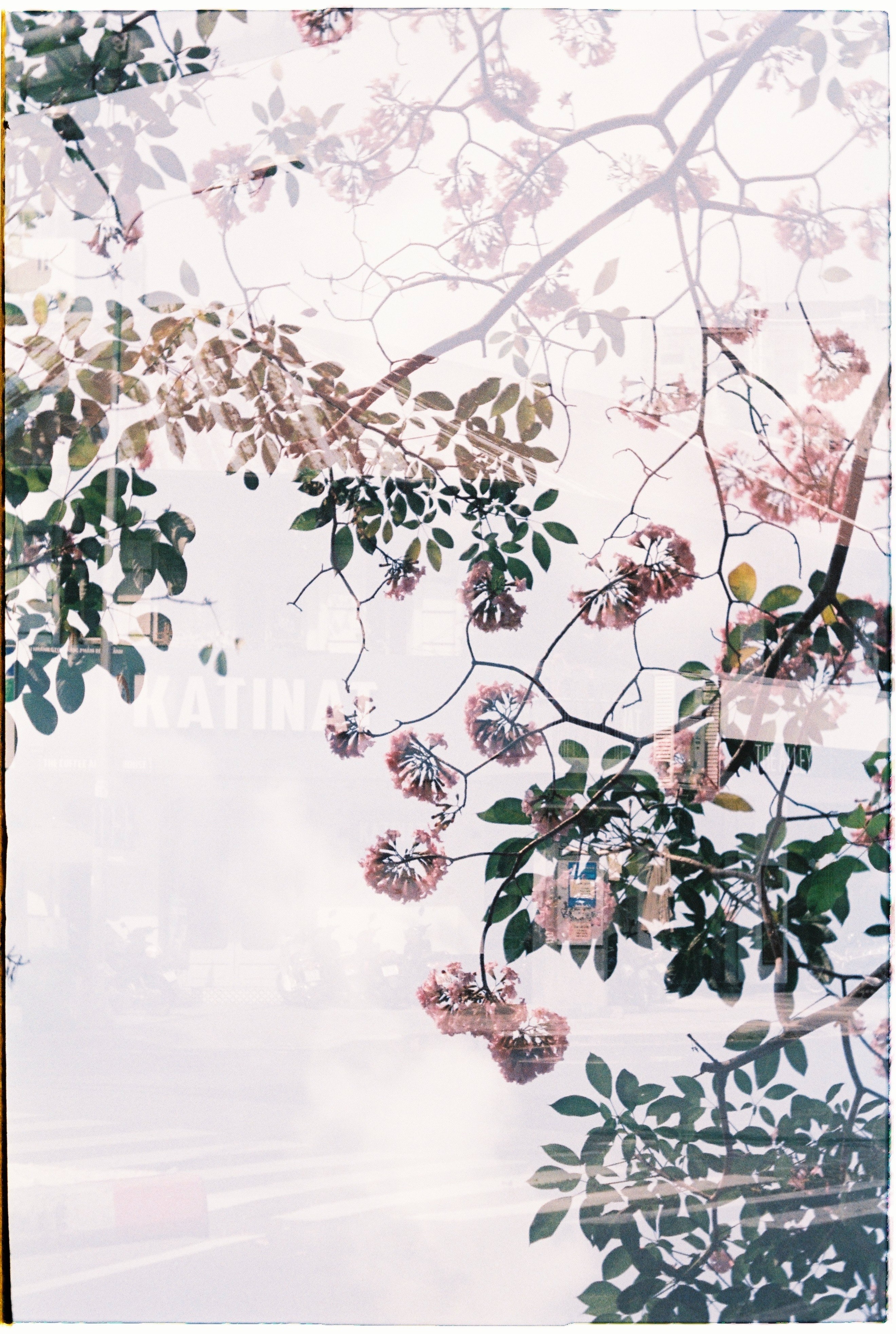 pexels-tiểu-linh-11506423